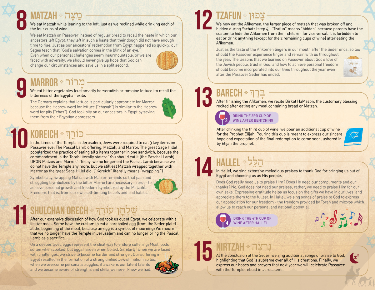 Passover Seder Cheat Sheet (Infographic) - NCSY